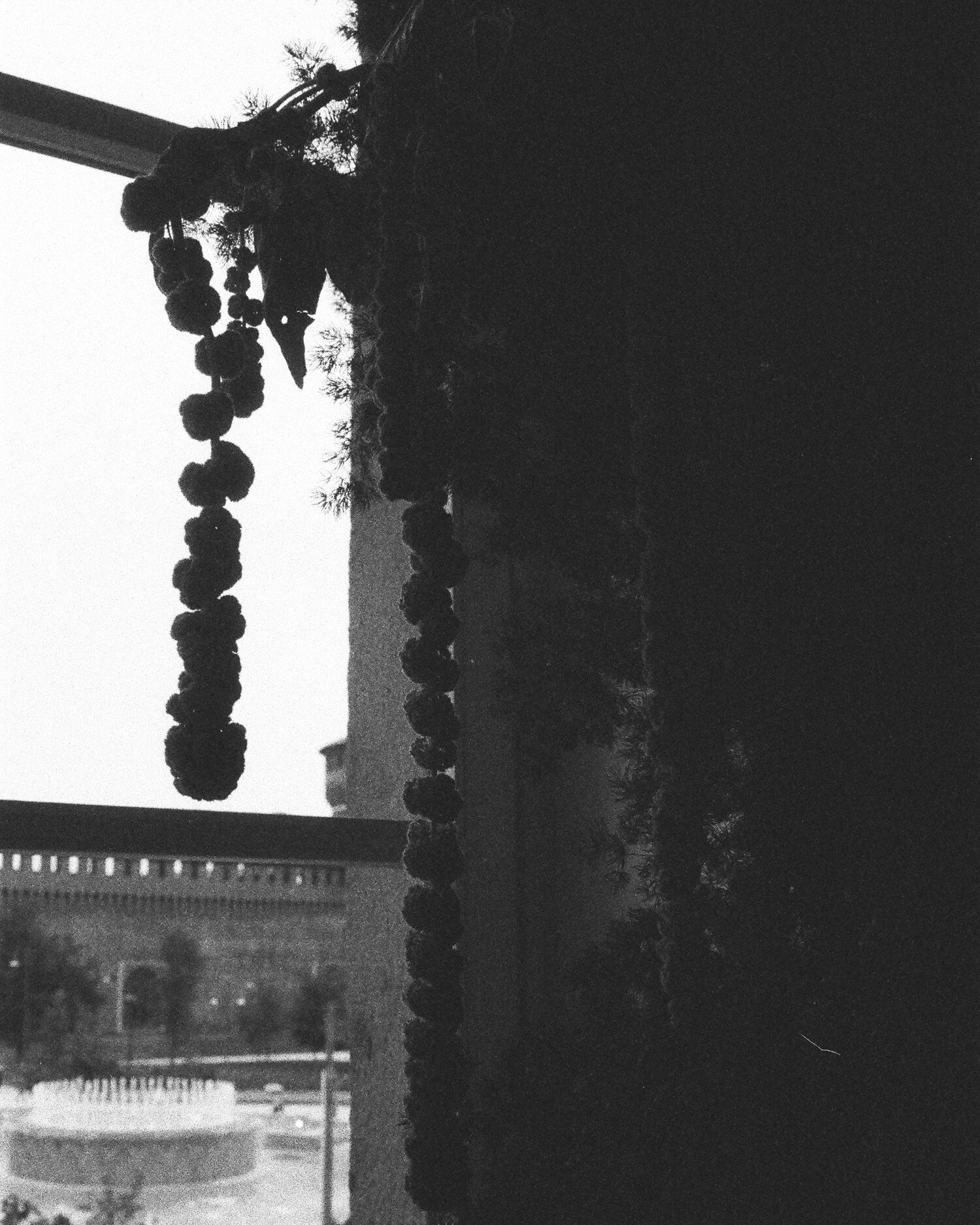 Jil Sander Premium Fragrances launch