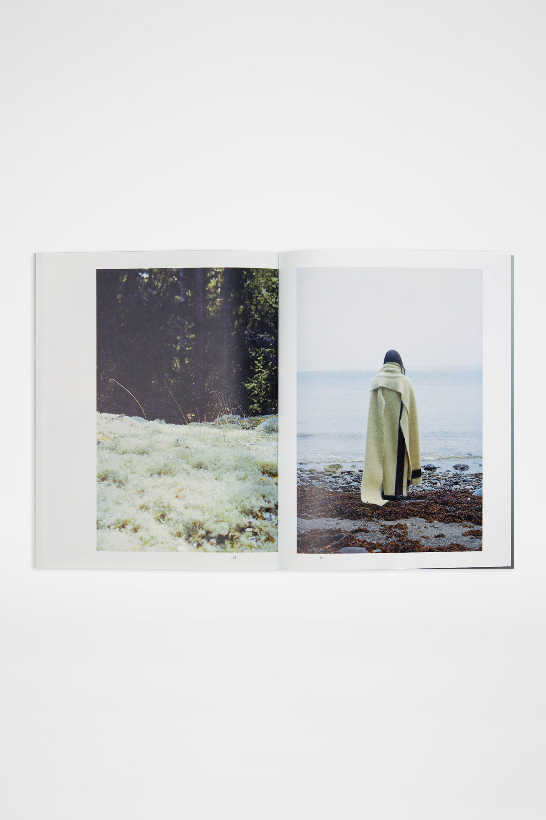 Familiarity, curated by Lucie and Luke Meier - Publications - Image 4