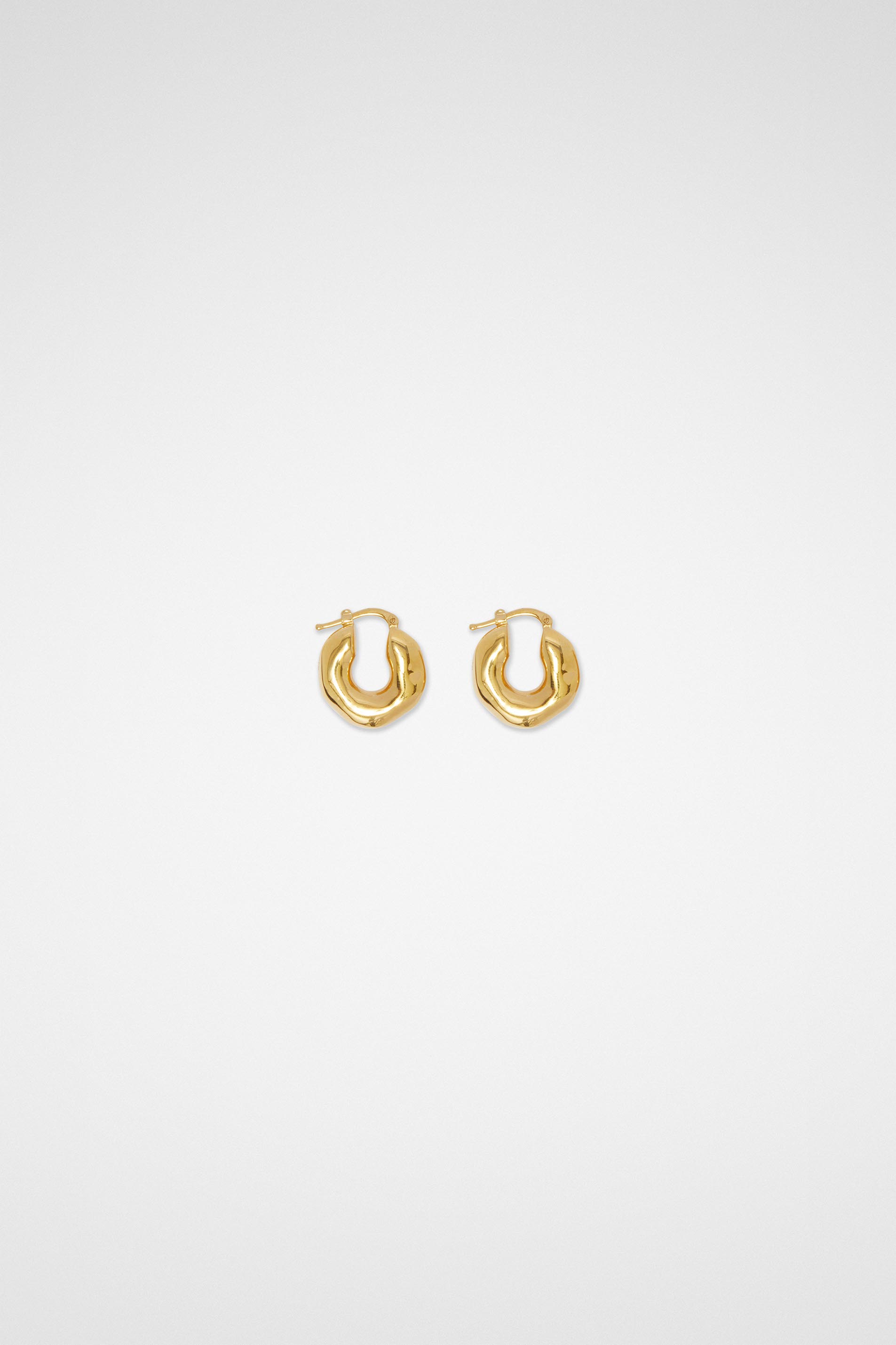 Earrings - Earrings - Image 1